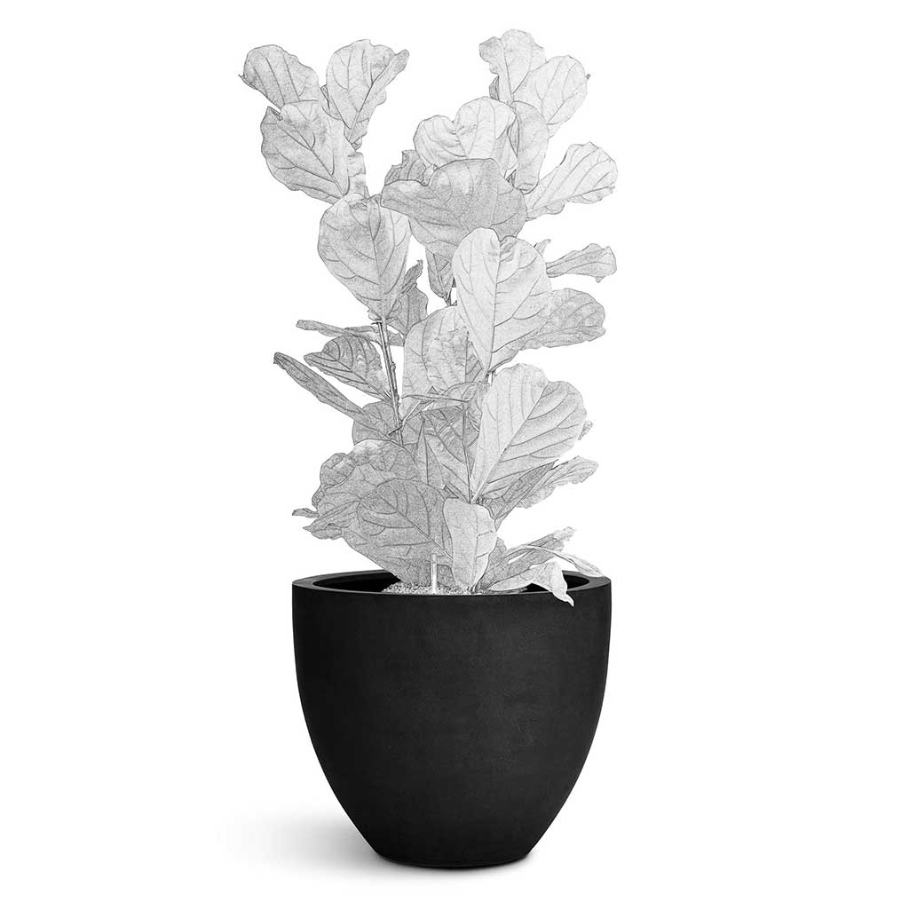 Jesslyn Natural Planter - XL Plant Display