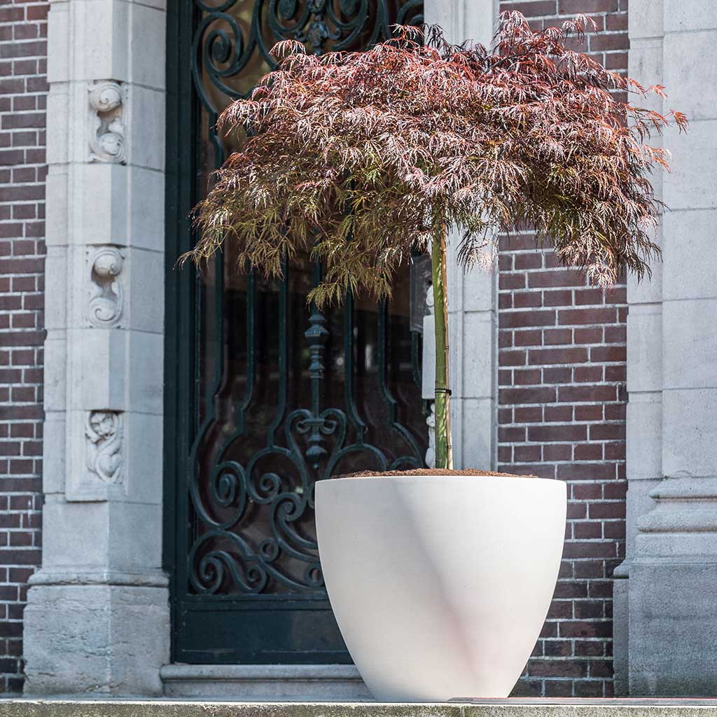 Jesslyn Refined Planter Natural White Tree Planters