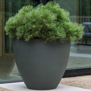 Jesslyn Refined Planter Pine Green Outdoor Plant Display