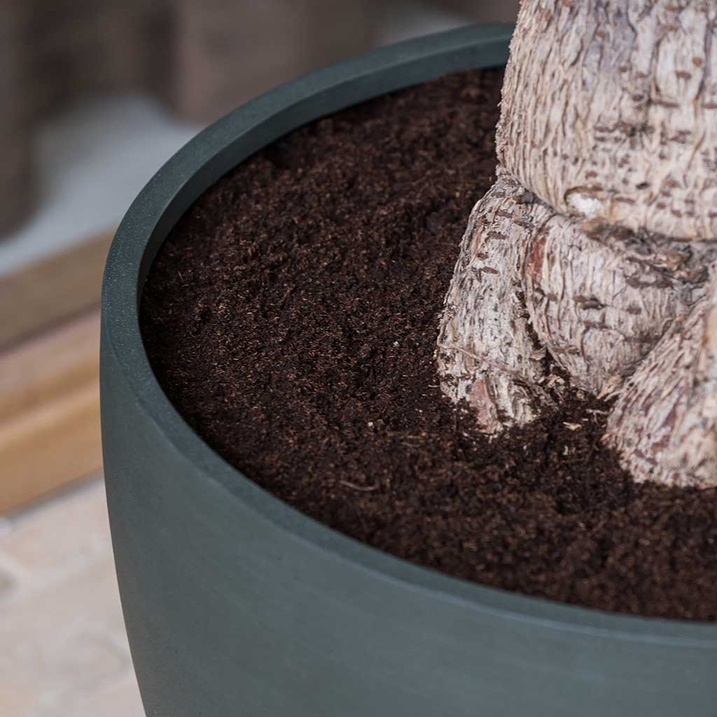 Jesslyn Refined Planter Pine Green Rim