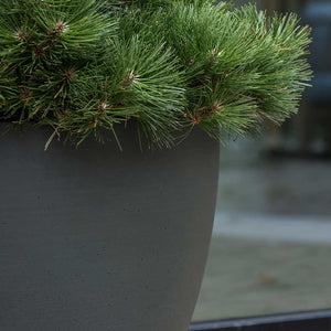 Jesslyn Refined Planter Pine Green Textures