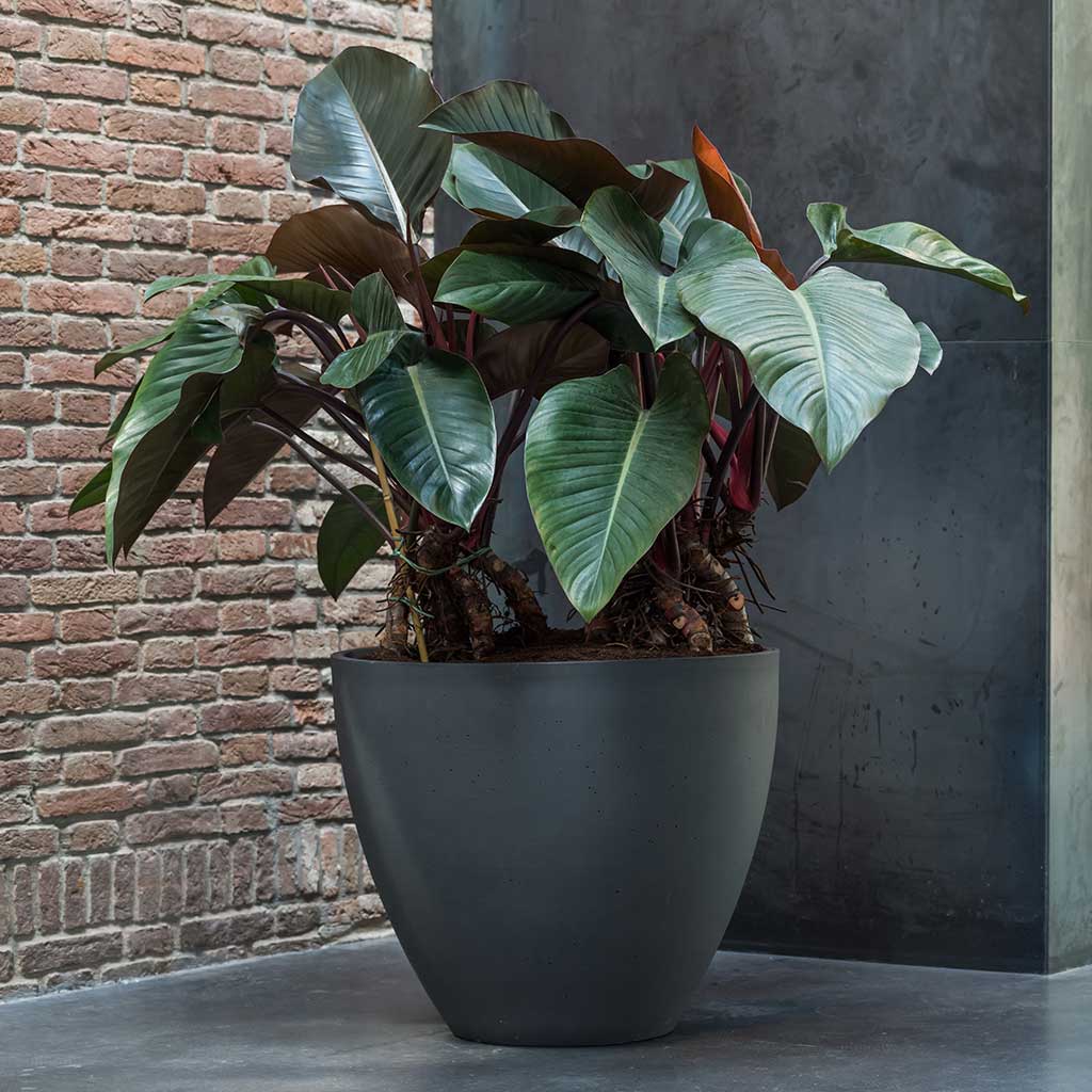 Jesslyn Refined Planter Pine Green