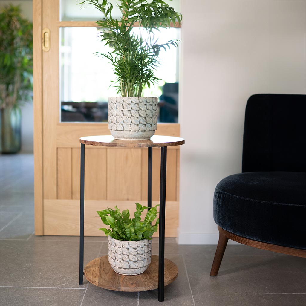 Jim Plant Pots - Shell & Houseplants On Stand