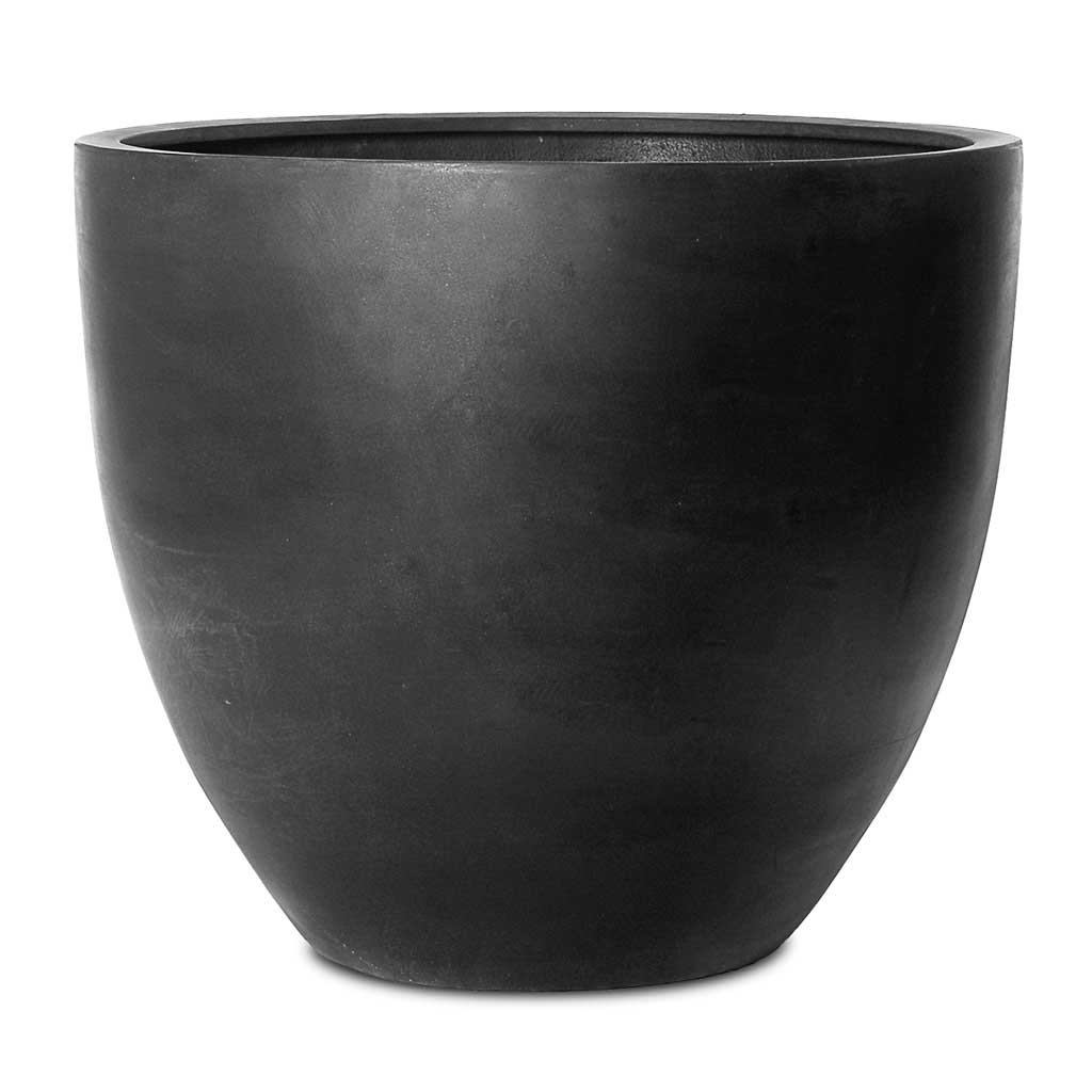 Jumbo Jesslyn Natural Planter - Black