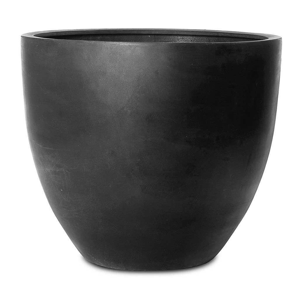 Jumbo Jesslyn Natural Planter - Black - Large