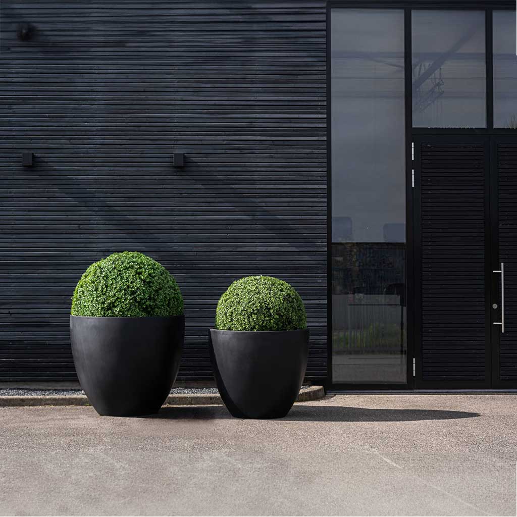 Jumbo Jesslyn Natural Planter Black Entrance Planters