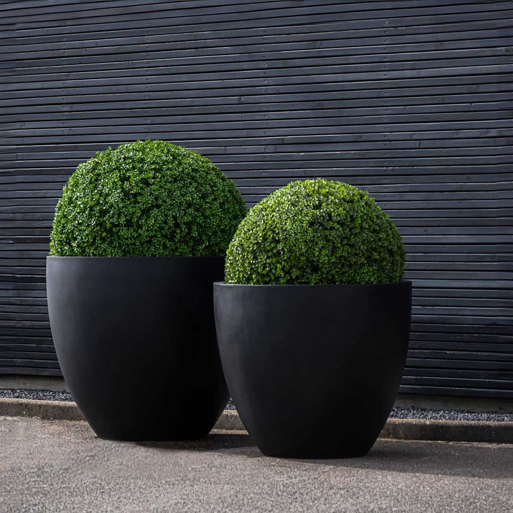 Jumbo Jesslyn Natural Planters Black & Topiary Box Balls