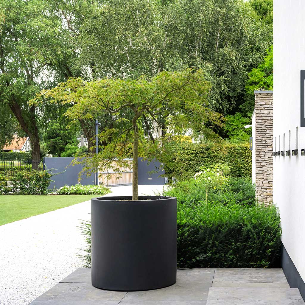 Jumbo Max Natural Planter - Black