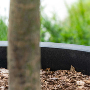 Jumbo Max Natural Planter Black & Tree Stem