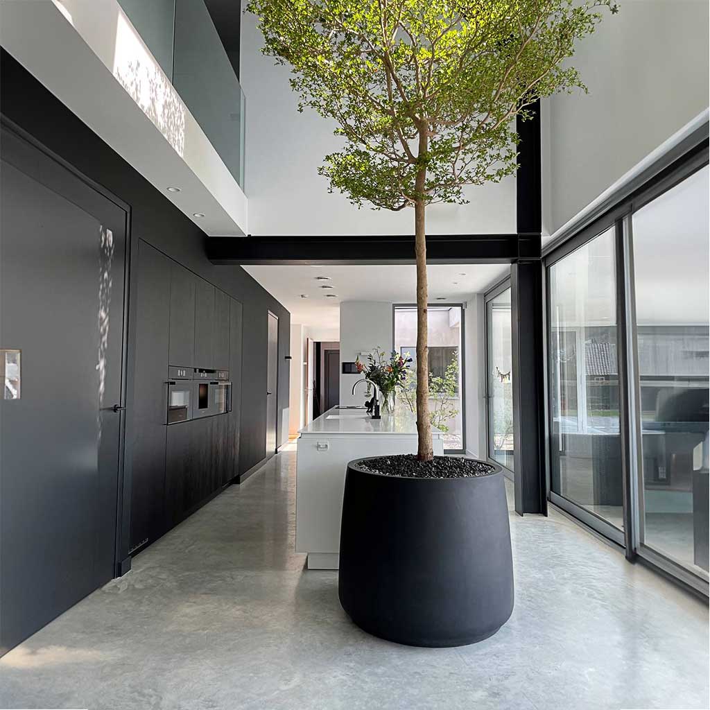 Jumbo Patt Natural Planter Black & Indoor Tree