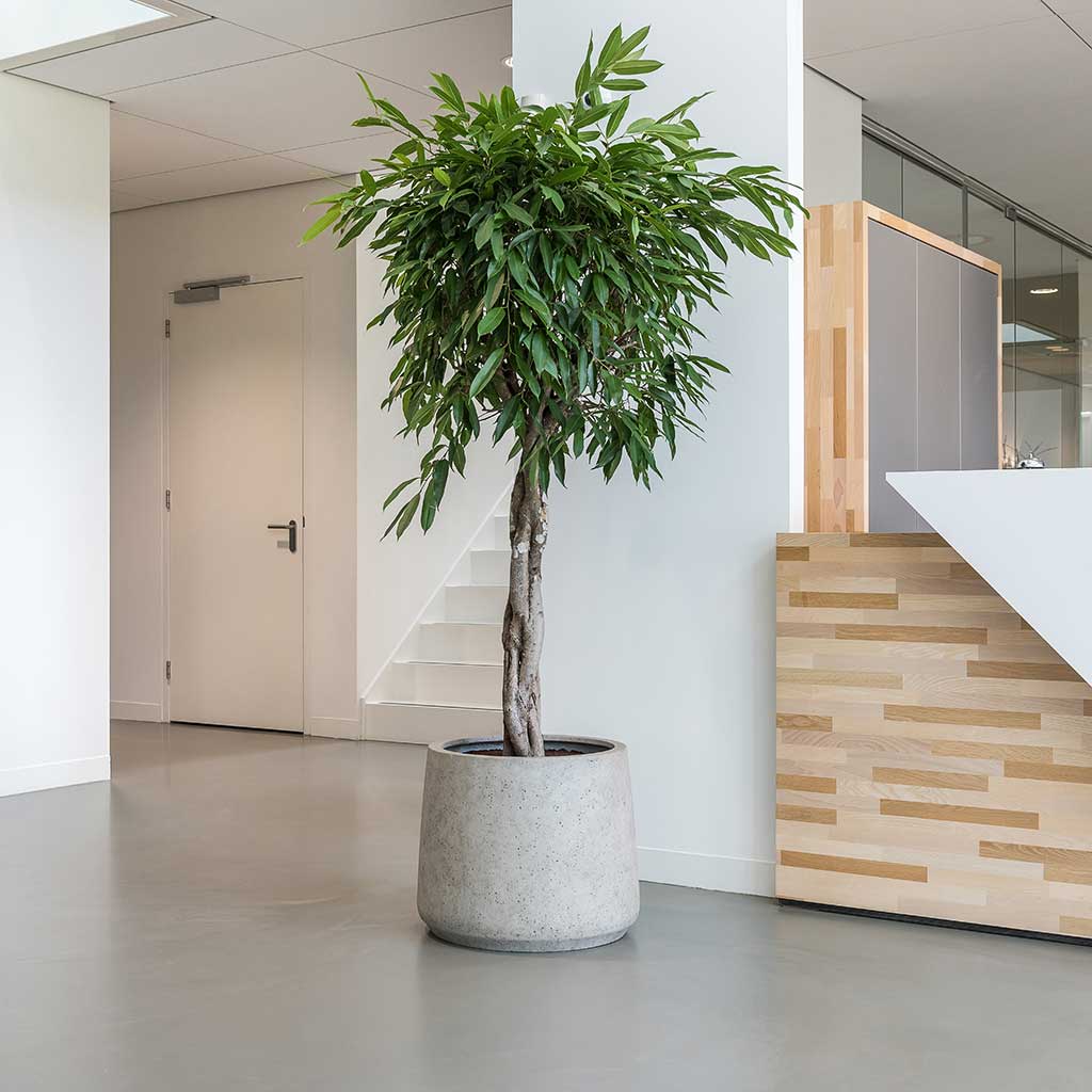 Jumbo Urban Patt Planter