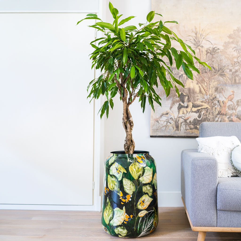 Lammie Planter - Bee Green & Indoor Tree