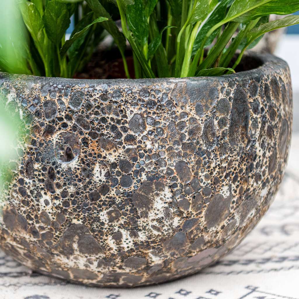 lava plant pot Lava Bowl Relic Planter - Black - Quality Planters | Hortology