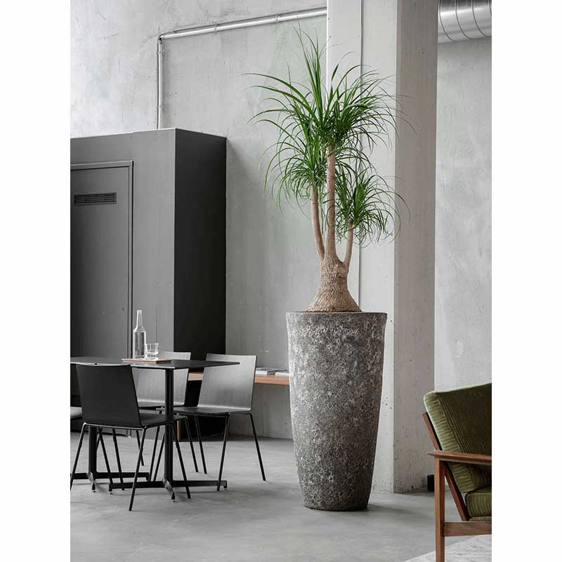 Lava Partner Relic Planter Rust