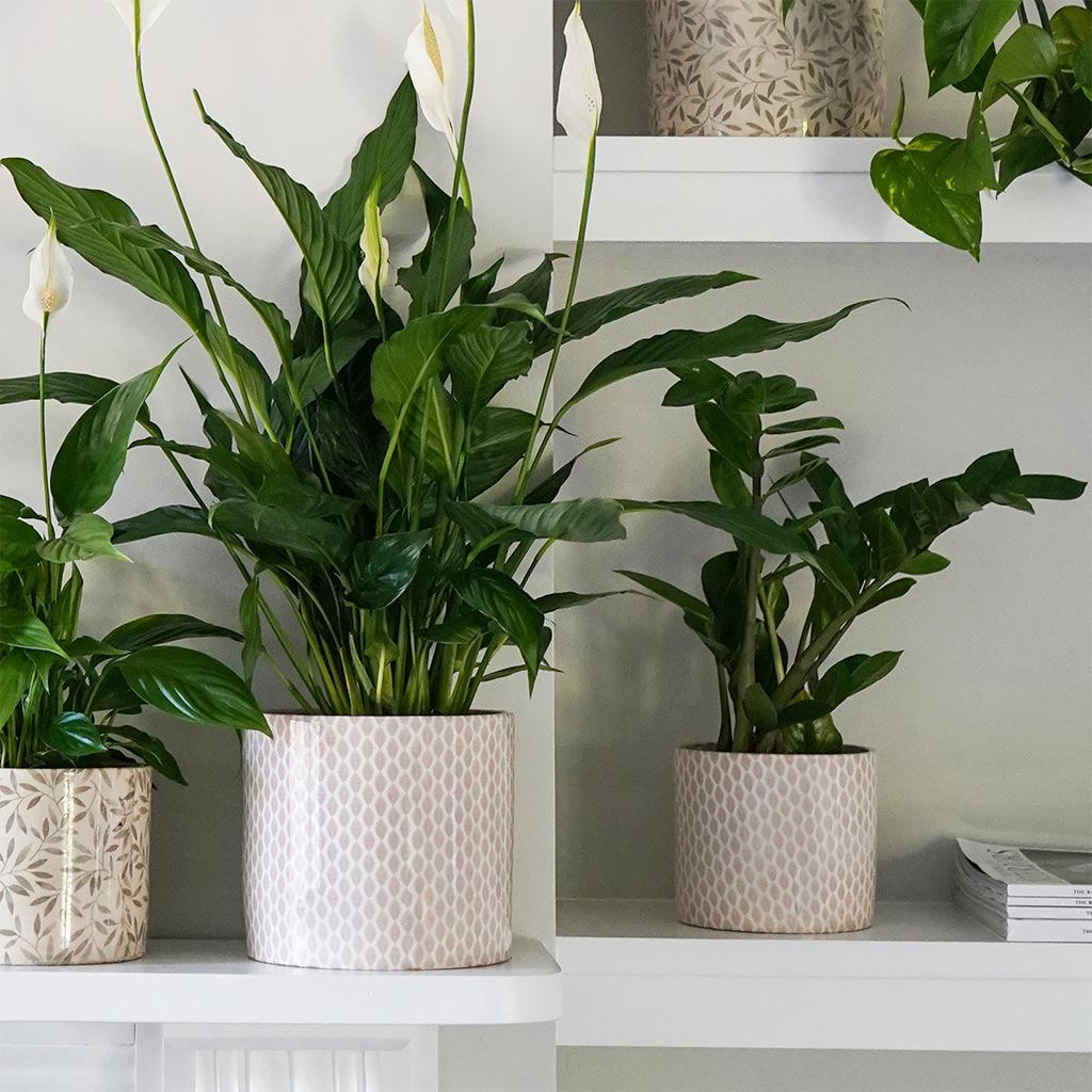 pretty indoor plant pots Lazzaro Plant Pot - Taupe Garland - Quality Plant Pots | Hortology