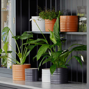 Hadleigh Plant Pot - Charcoal & Rest Of Range