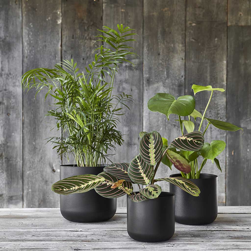 dark plant pot Lisbon Plant Pot - Anthracite - Quality Plant Pots | Hortology
