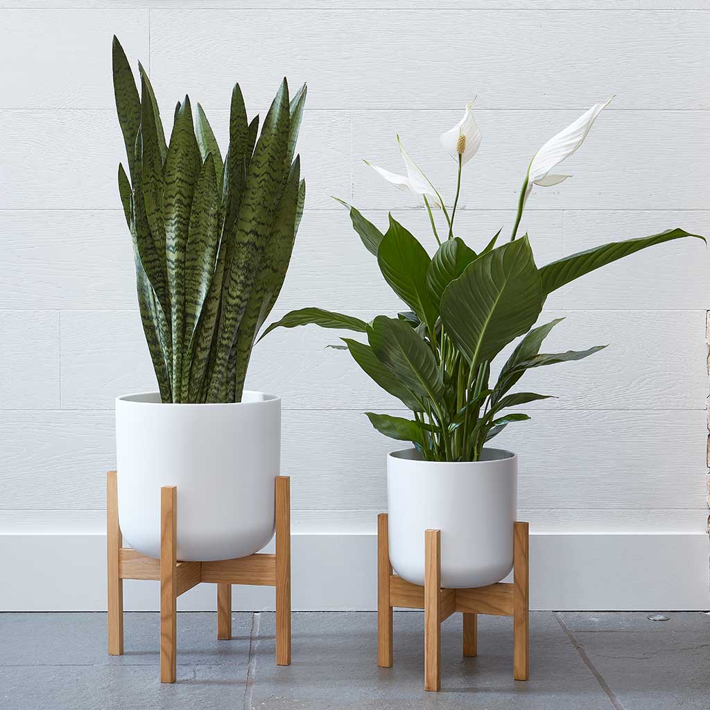 Lisbon Plant Pot - White Small