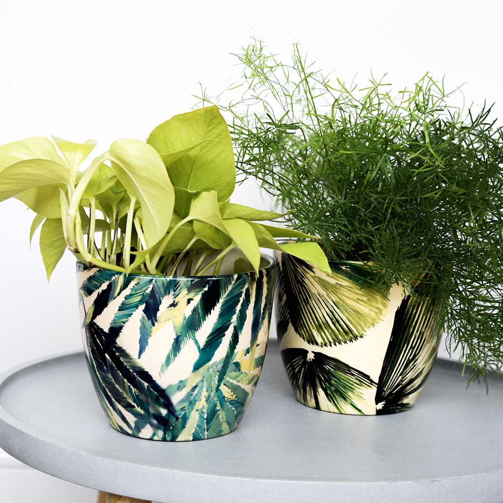 Monza Plant Pot - Botanical Fern & Neon Pothos With Sicklethorn Fern