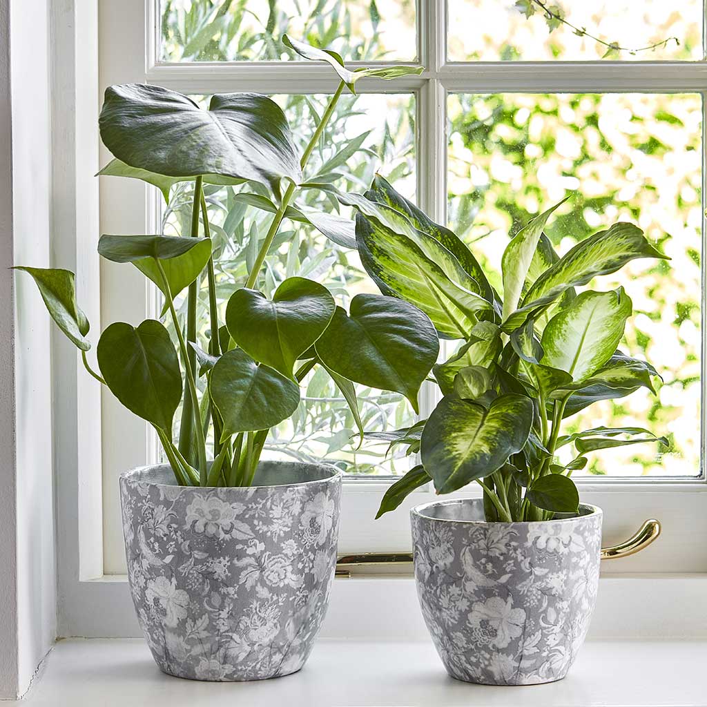 Monza Plant Pot - Vintage Grey & Houseplants On Windowsill