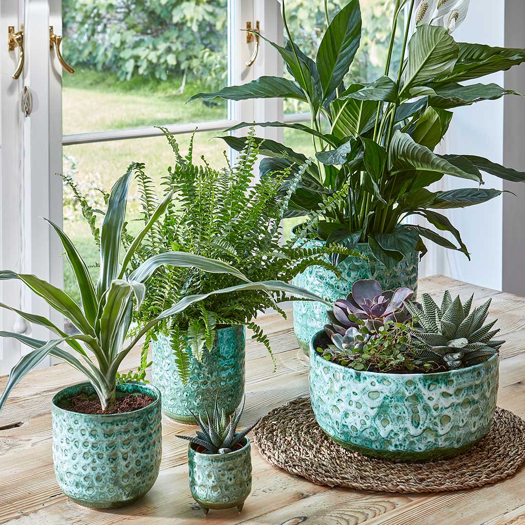 Ocean Glaze Plant Pot - Emerald By Window
