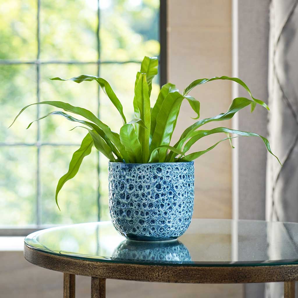 glaze plant pot Ocean Glaze Plant Pot - Sapphire - Quality Plant Pots | Hortology