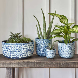 Ocean Glaze Plant Pot - Sapphire & Houseplants