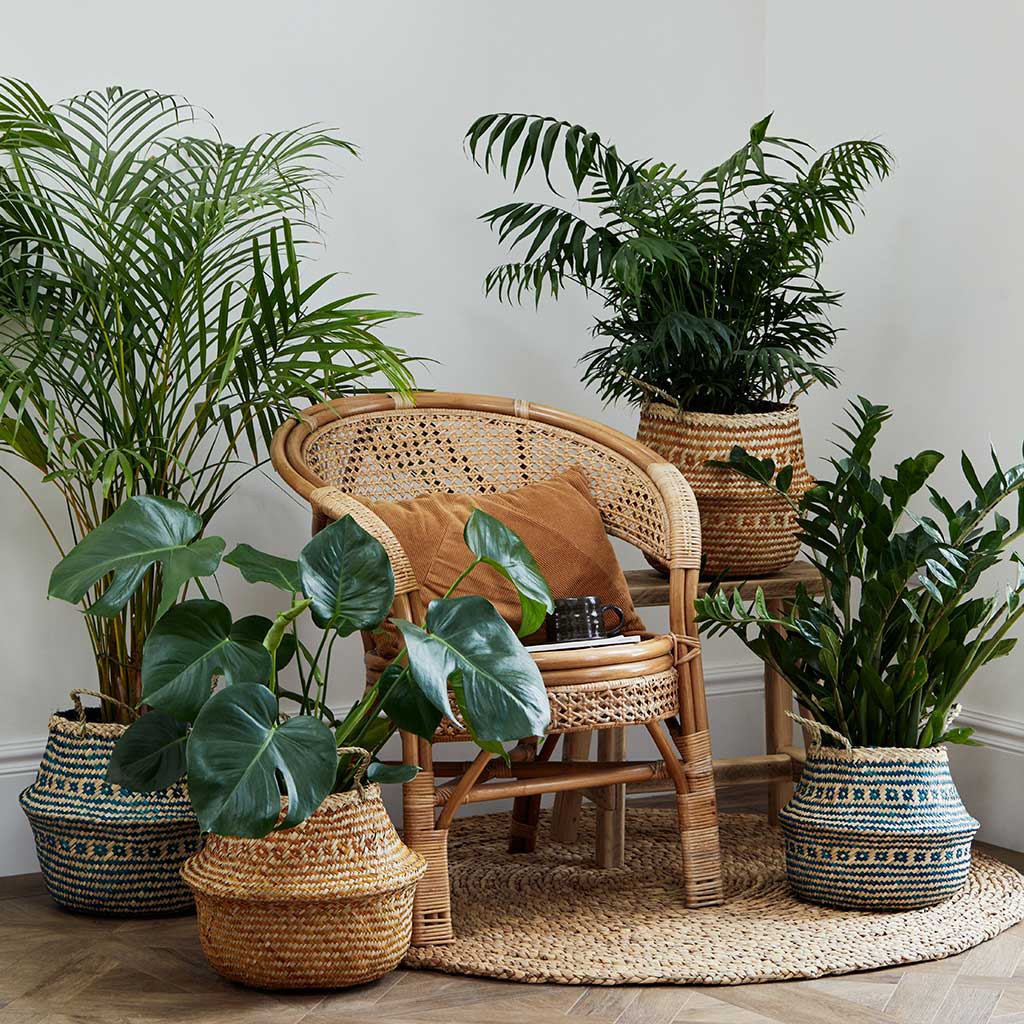 Seagrass Tribal Baskets