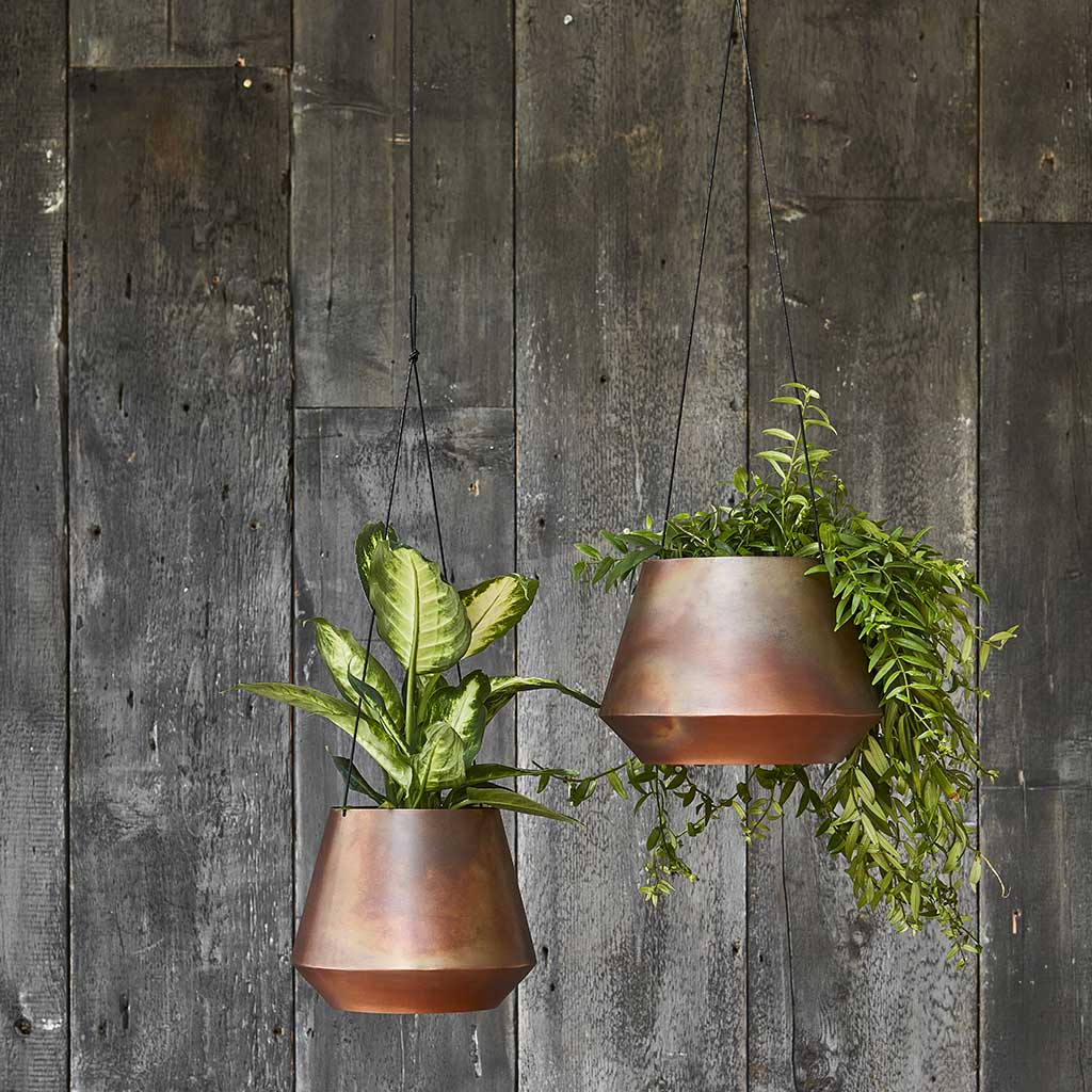 Soho Hanging Plant Pots - Aged Copper and Houseplants