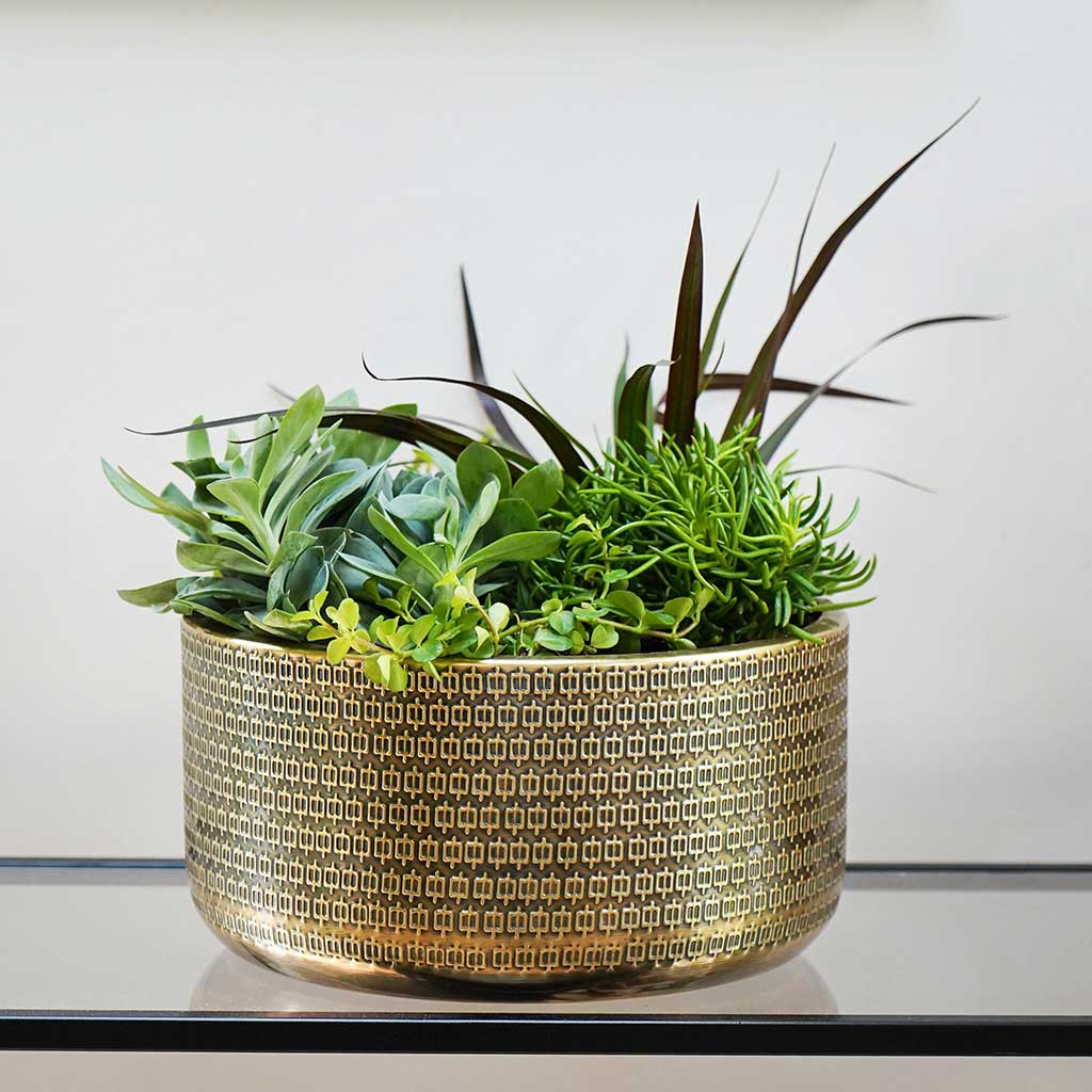 Solis Embossed Plant Bowl - Gold & Houseplants