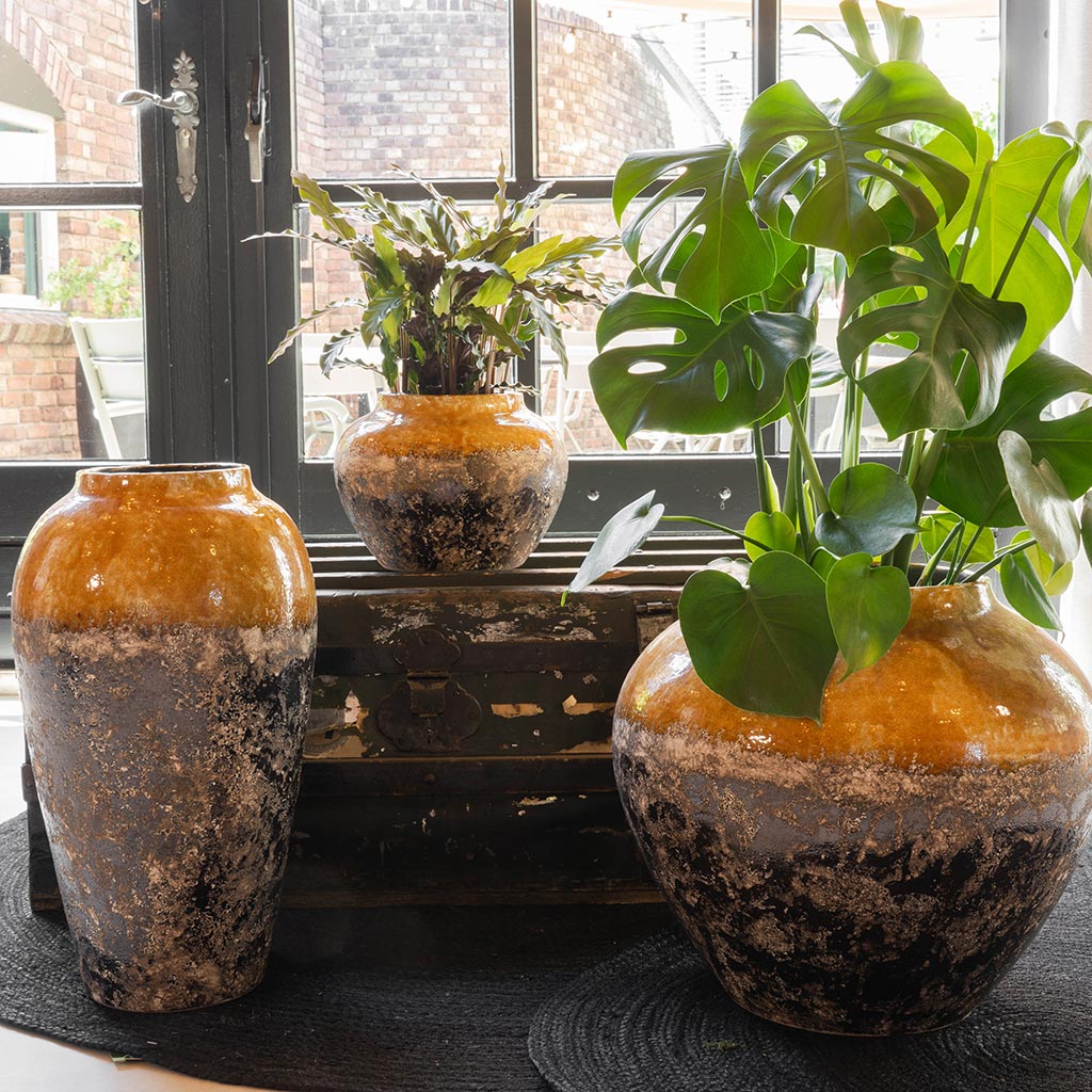 Lindy Jar Plant Pot - Ochre