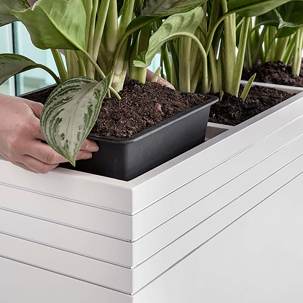 Line Up Square Planter - Matt White Integrated Liner