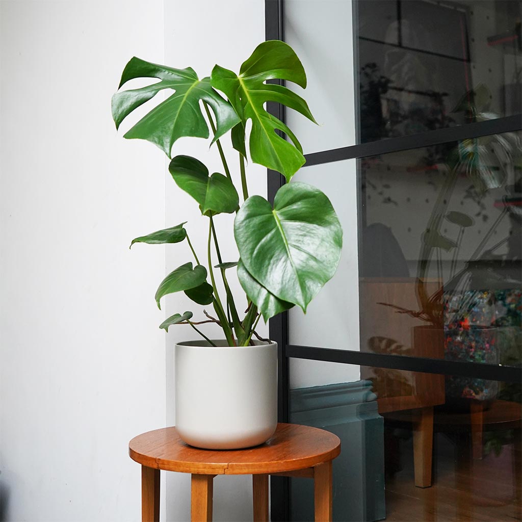 Lisbon Plant Pot - Light Grey Large