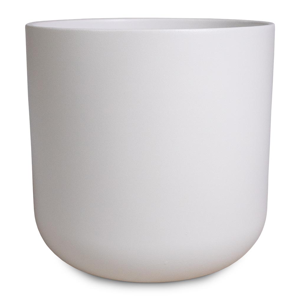 White deals plastic planter