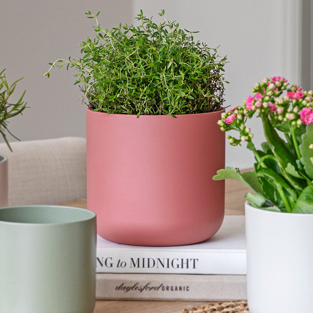 Lisbon Pot Blush Rose - 24x24cm