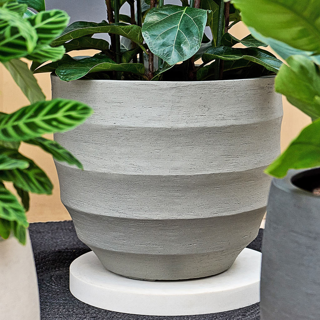 Threshold X Studio McGee Large Octagon Concrete Planter - Gray - Modern Pot