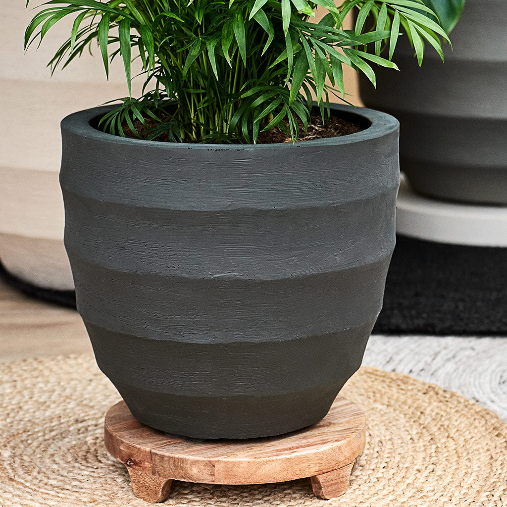 Bordo New Egg Pot Planter - Earth & Parlour Palm