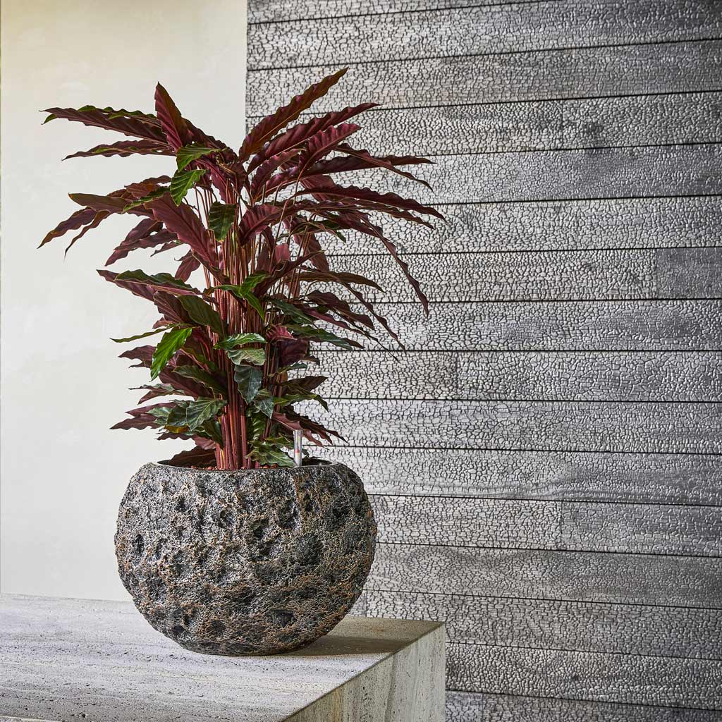 Luxe Lite Moon Globe Planter Bronze