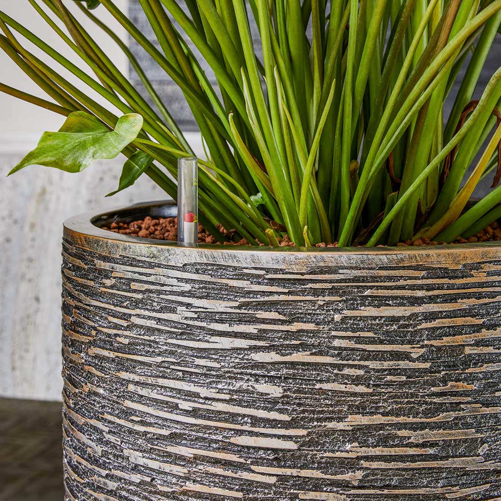Luxe Lite Wrinkle Cylinder Planter - Bronze & HydroCare Plants
