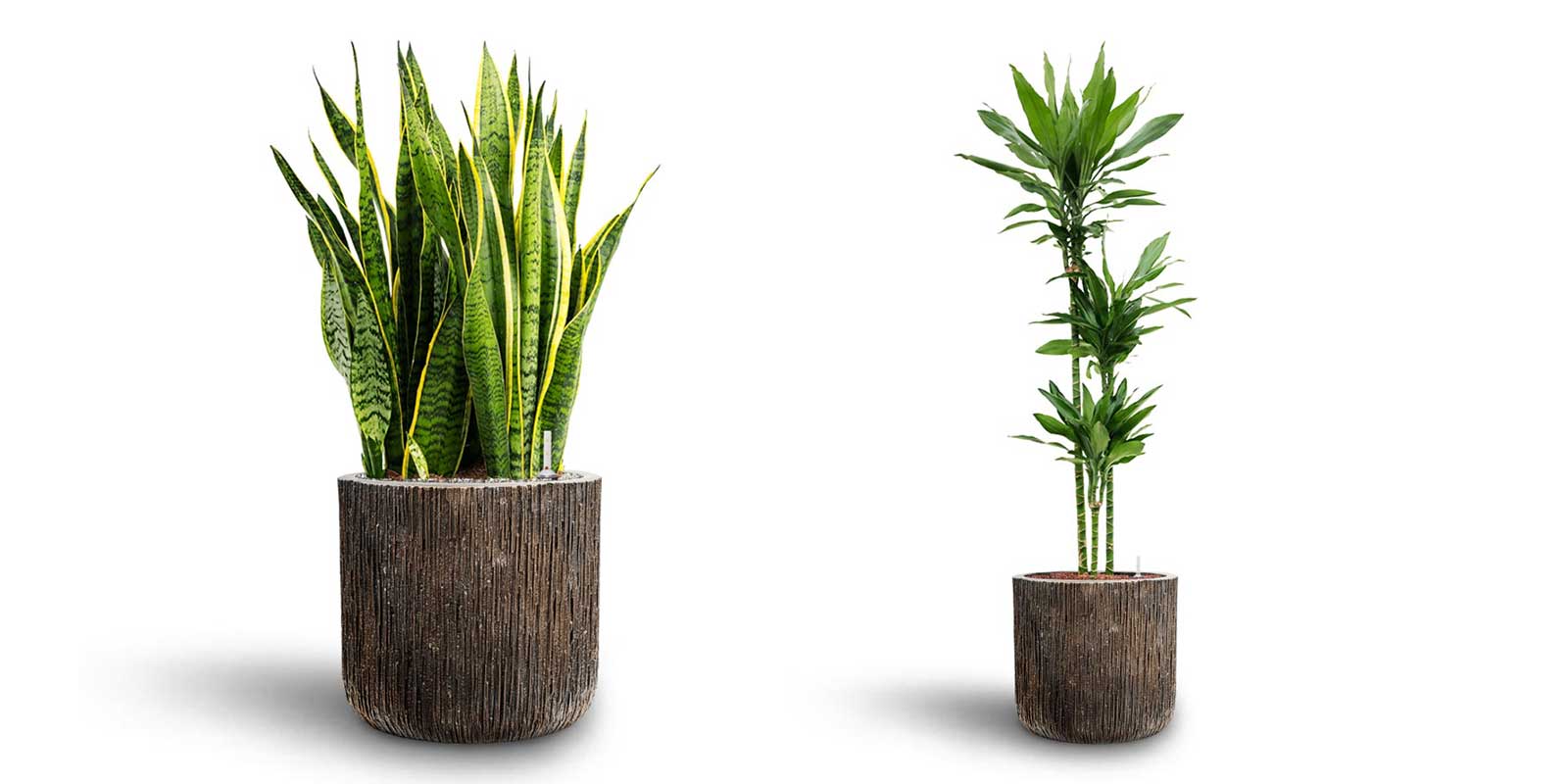 Luxe Lite Waterfall Cylinder Planters