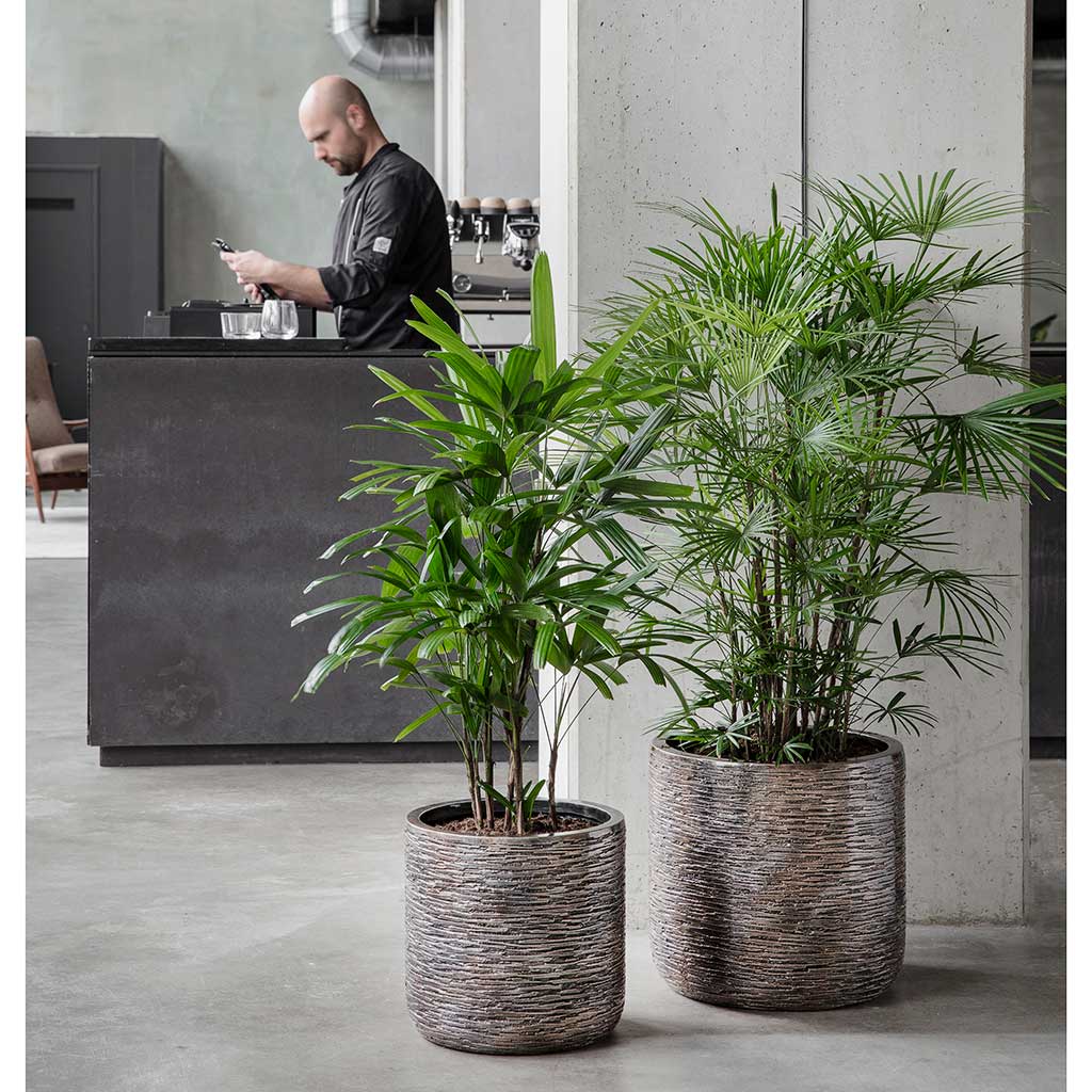 Luxe Lite Wrinkle Business Planters
