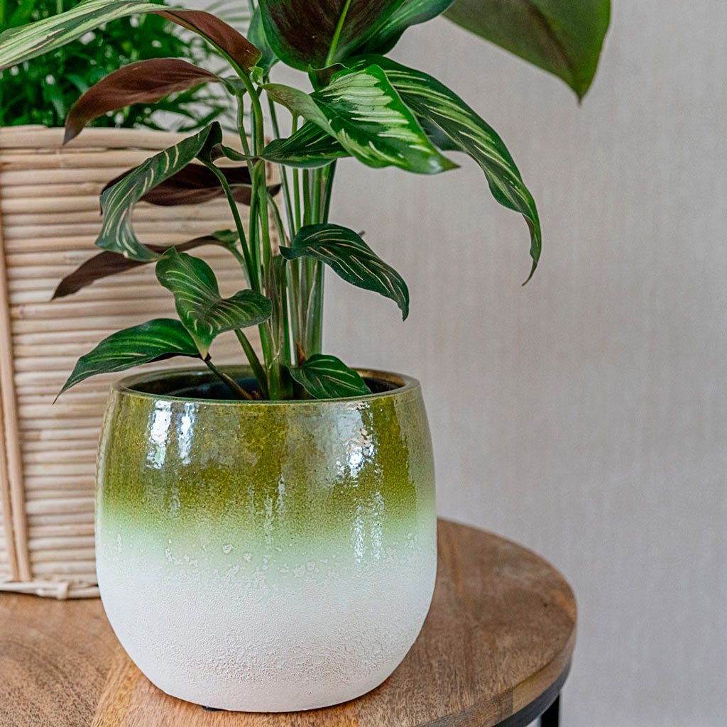 Fem Pot Pear Green - 15x13cm