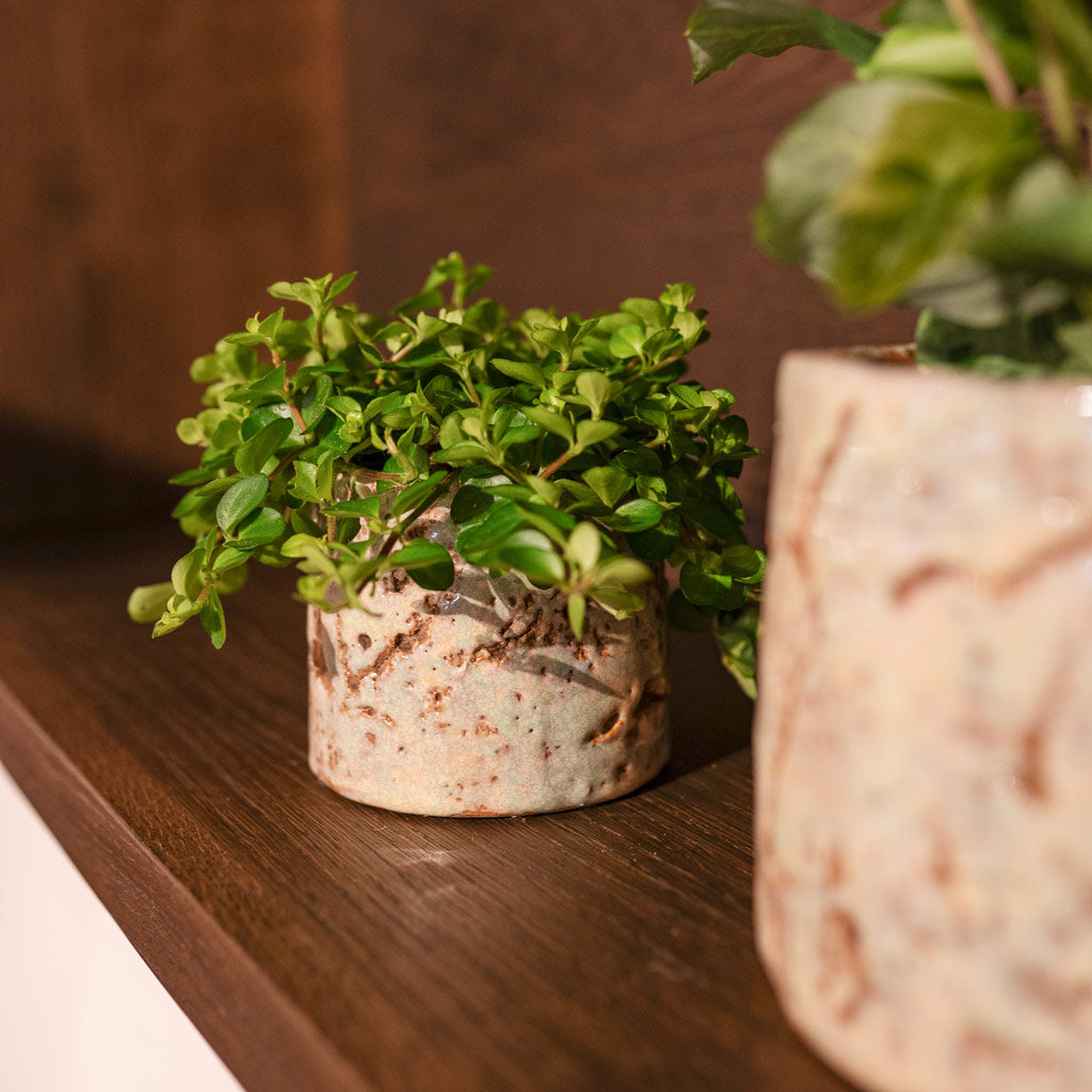 Masha Pot Mint - 22x17