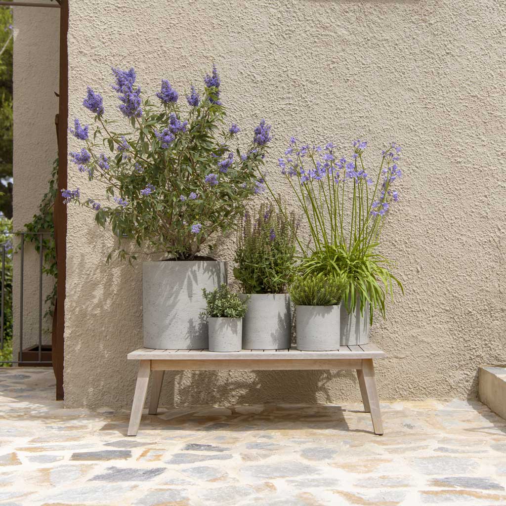 Max Plant Pot - Grey Washed Outdoors in Full Sun