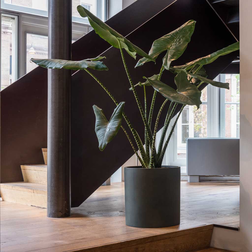 Max Refined Planter - Pine Green In Stairway