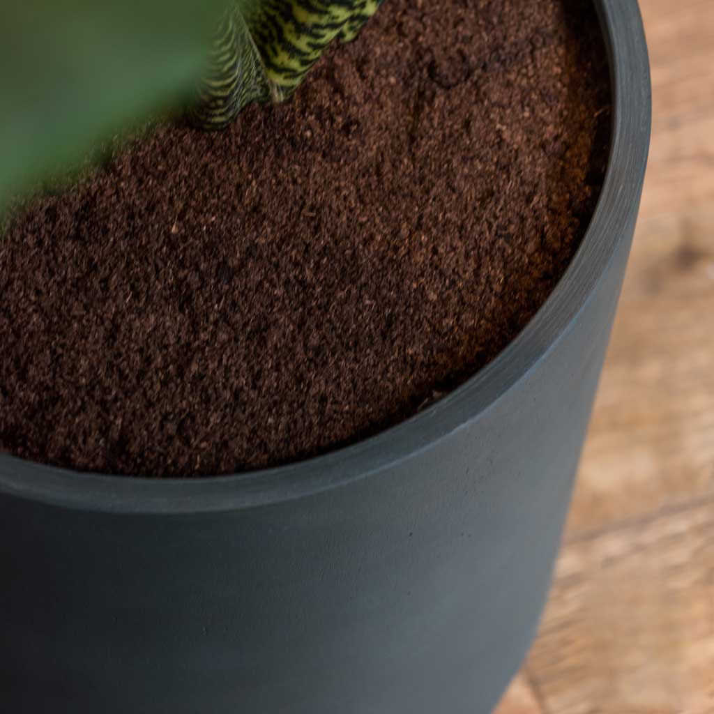 Max Refined Planter - Pine Green - Corner