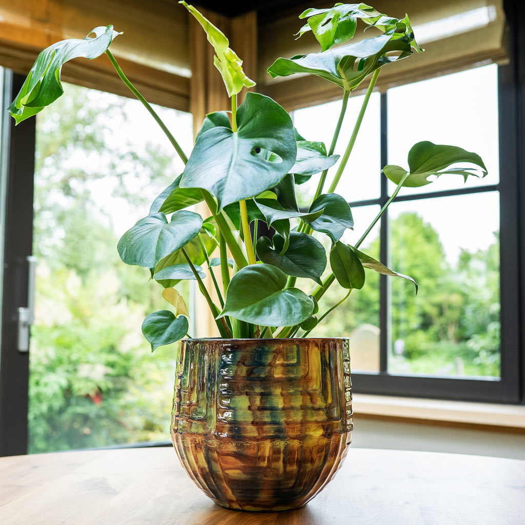 marrakesh succulent Mette Metal Plant Pot - Marrakesh - Quality Indoor Pots