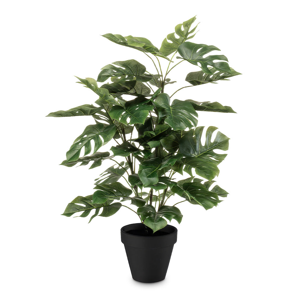 Monstera Bushy Swiss Cheese Plant Potted 65cm Artificial