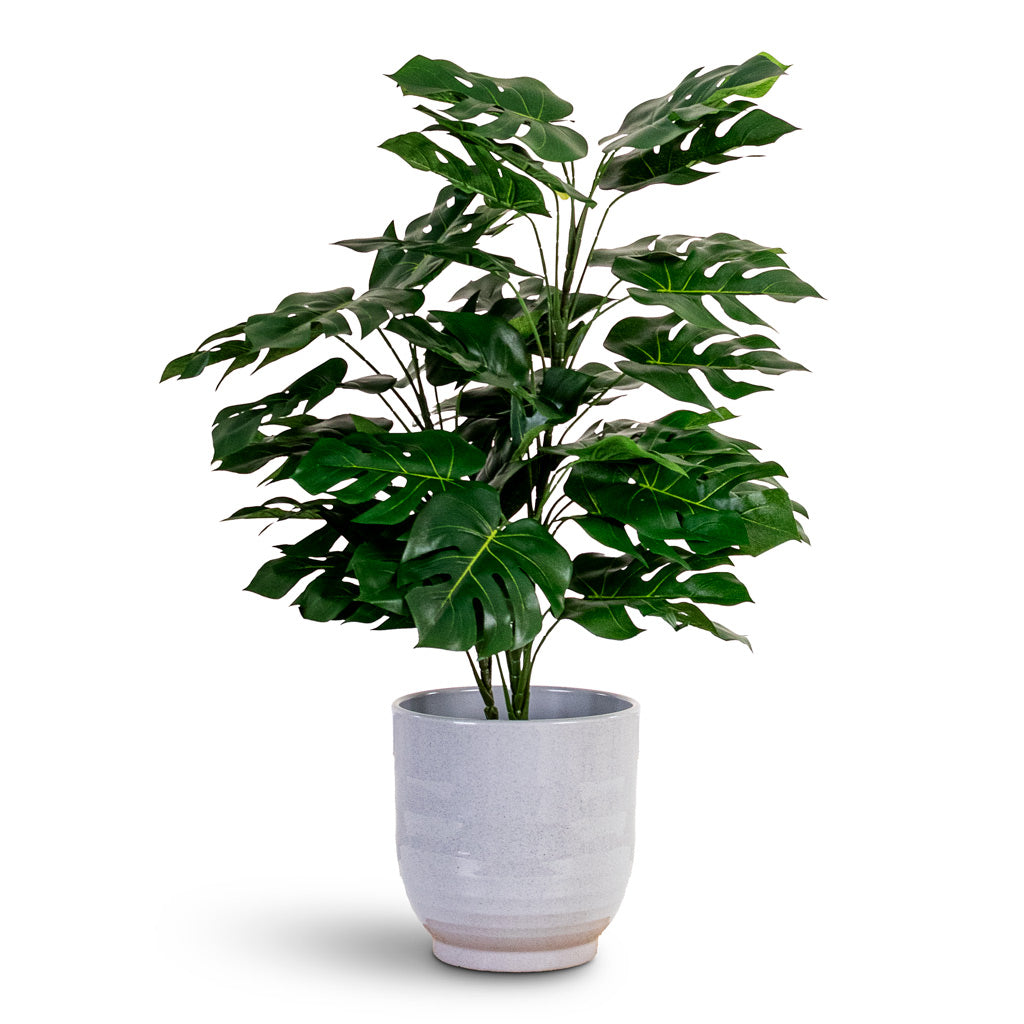 Monstera Bushy Swiss Cheese Plant Potted Artificial 65cm House Plant In Sofia Pot Grey 19x19cm