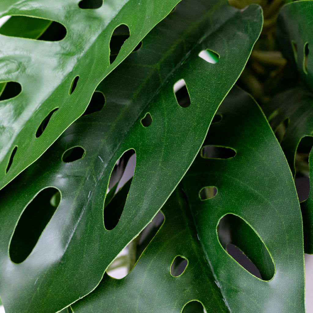 Monstera Monkey Mask Potted Artificial Close up